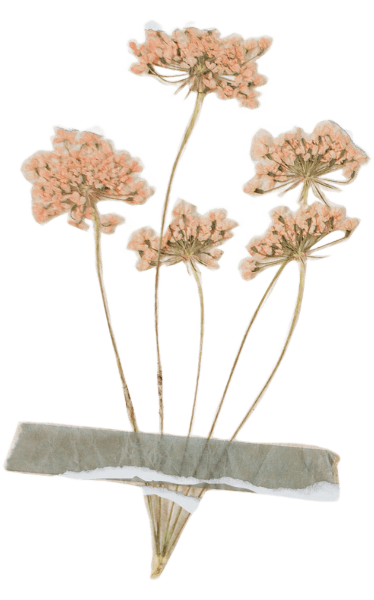 Fleur en papier