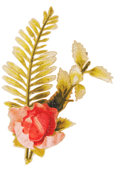 Flower-7-min